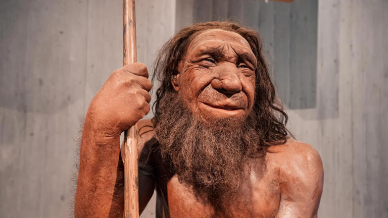 Người Neanderthal ở Tây Ban Nha chế tác vật thể gỗ chưa có tiền lệ rõ ràng